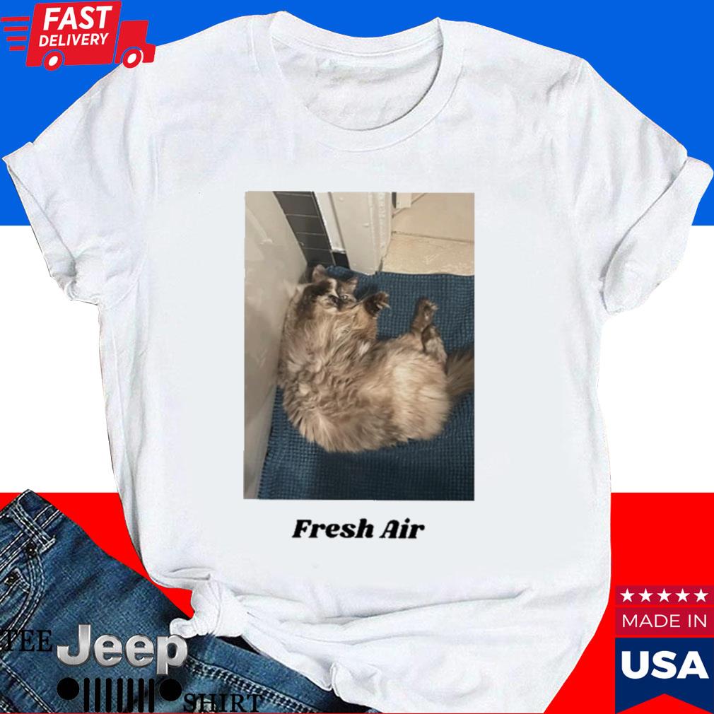 Official Homeshake fresh air T-shirt