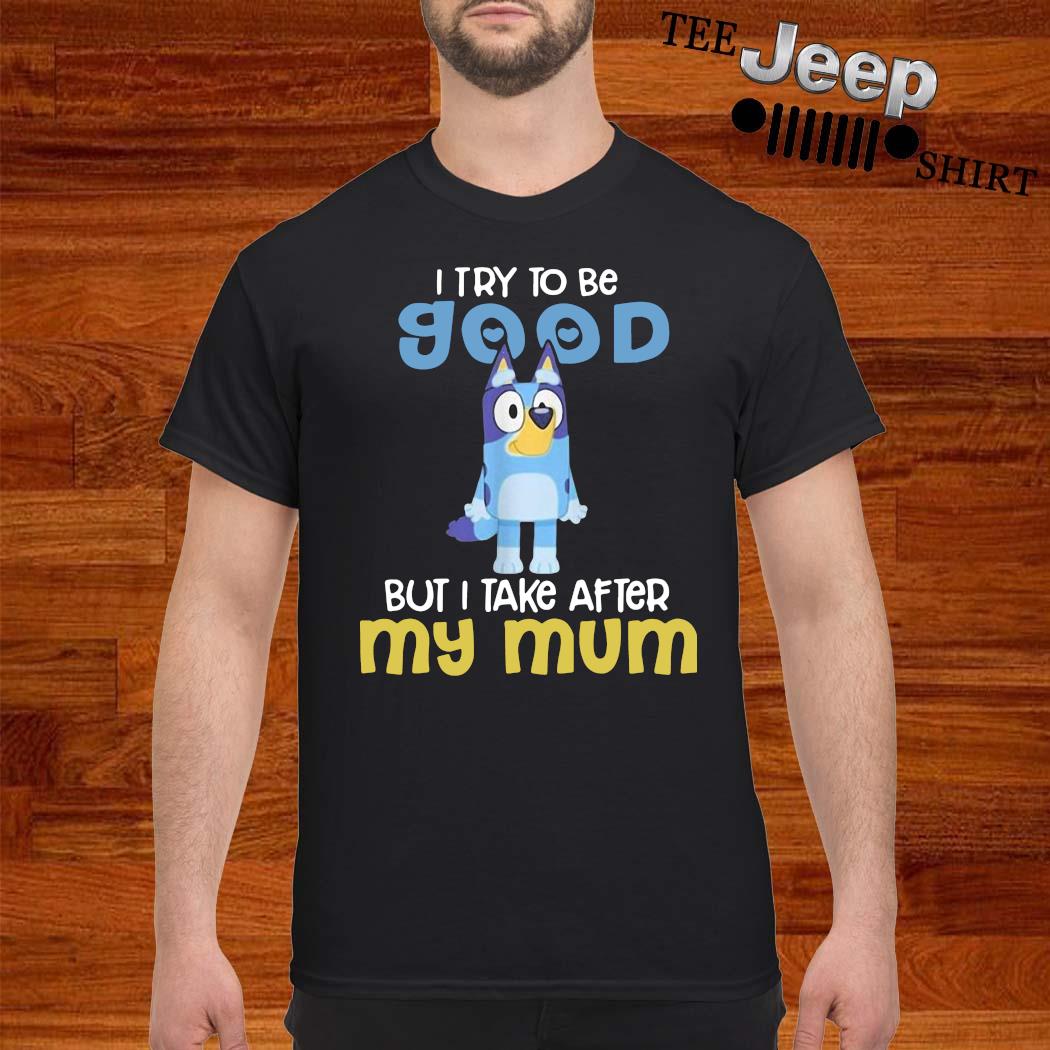 Bluey Birthday Boy Custom Shirt - teejeep